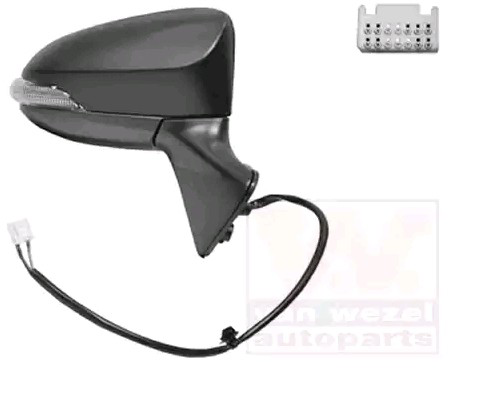 5493818 VAN Wezel Espejo derecho